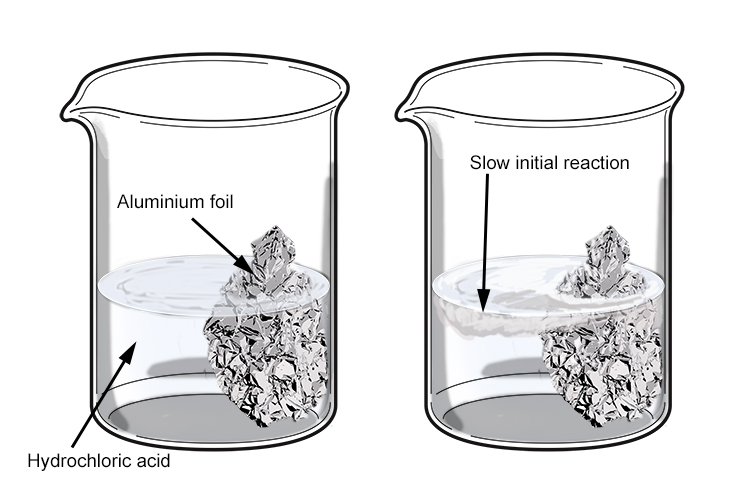 Aluminium initially produces the oxide shield and appears to not react at all
